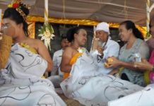 IWB Singaraja Gelar Upacara Metatah dan Mesih Warga Bugbug di Buleleng