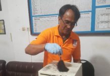 Warga Bongan Kauh Temukan Brankas Diduga Hasil Curian