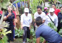 Ny. Putri Koster Ingin Natah Bali Ditanami Tanaman Sayur dan Obat-Obatan untuk Kebutuhan