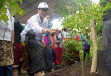 Ny. Putri Koster, Dorong Pengelolaan Halaman Asri Teratur Indah Nyaman