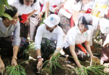Hijaukan Halaman Rumah, Ny. Putri Koster Harmonisasi dan Sinkronisasi “HATINYA PKK” di Desa Keliki