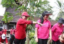 Ny. Putri Koster Sosialisasikan dan Harmonisasi “HATINYA PKK” di Desa Tiyinggading