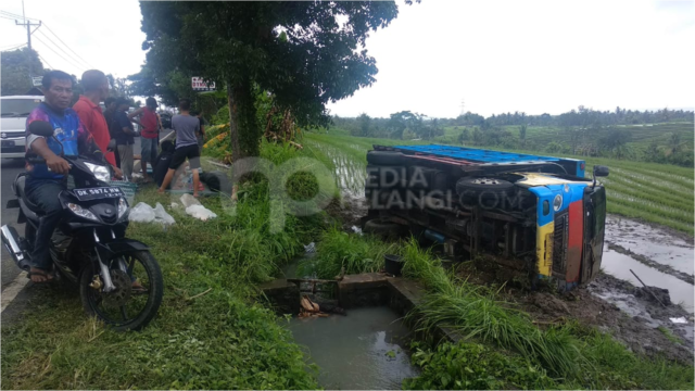 Hindari Bus, Truk Terguling Masuk Sawah