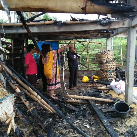 Kandang Ayam Terbakar di Pagi, 5.000 Ekor Ayam Mati Terpanggang