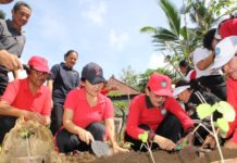 Sinkronisasi dan Harmonisasi 10 Program Pokok PKK di Desa Pejeng Kangin