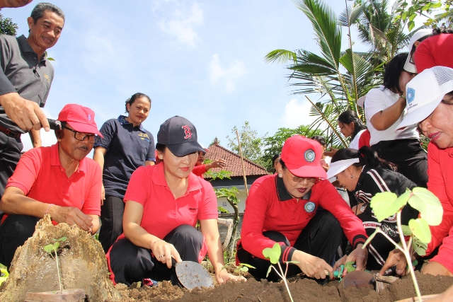 Sinkronisasi dan Harmonisasi 10 Program Pokok PKK di Desa Pejeng Kangin