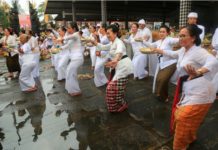 Tari Rejang Pala Peninggalan Pura Pan Balang Tamak di Desa Nongan Ny. Putri Suastini Koster Bersama 200 Penari Menarikan Tari Rejang Pala