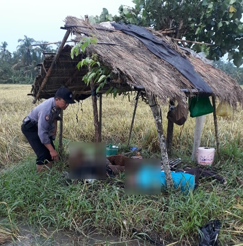 Buruh Panen Padi di Jembrana Tewas Disambar Petir