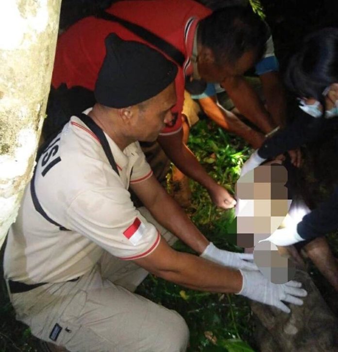 Tewas jatuh Dari Pohon Cengkeh