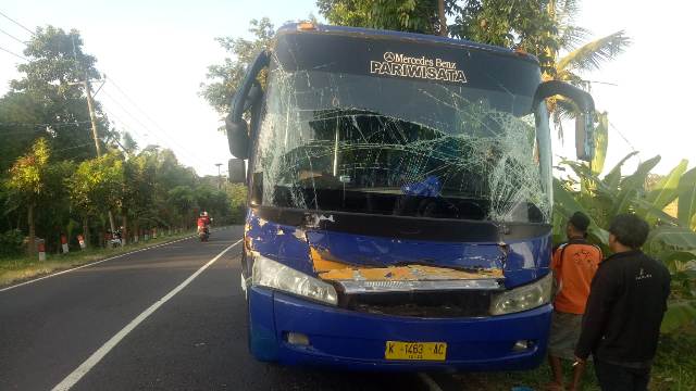 Kurang Jaga Jarak, Bus Pariwisata Seruduk Truk di Jalur Tengkorak