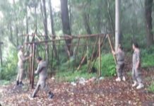 Ganggu Wisatawan, Satpol PP Bangli Bongkar Paksa Lapak Pedagang Canang Satpol PP Kabupaten Bangli membongkar lapak pedagang canang yang berada di area hutan Suter, Desa Kintamani