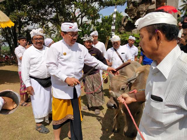 Karya Ida Bhatara Turun Kabeh di Pura Mandara Giri Semeru Agung Lumajang