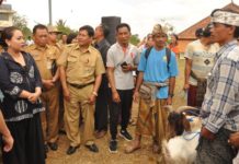 Kembangkan Ternak, Bupati Eka Serahkan Bibit Kambing Boerka