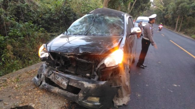 Diduga Ngantuk, Innova Tabrak Pohon Perindang, Sopir Tewas