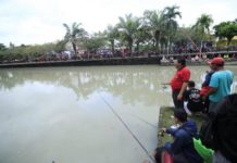 Lomba Mancing dan Gemar Makan Ikan Meriahkan HUT Kota Negara