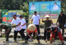 Komitmen Sejahterakan Petani, Bupati Eka ‘Kaya’kan Petani Tabanan