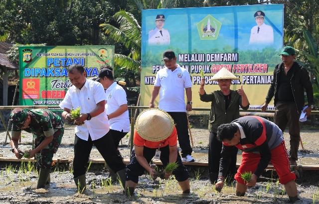 Komitmen Sejahterakan Petani, Bupati Eka ‘Kaya’kan Petani Tabanan