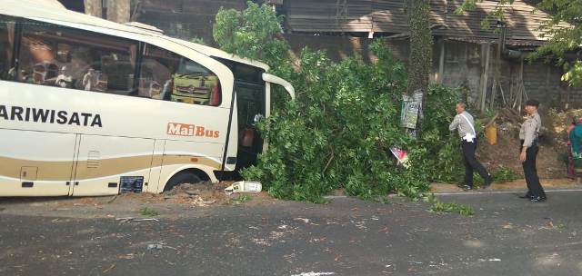 Pecah Ban, Bus Rombongan Pengantin Tabrak Pohon di Jalur Tengkorak