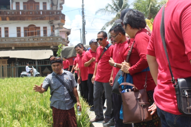 Dinas PU Kabupaten Brebes Belajar Tata Guna Air di Subak Jaka Kukuh