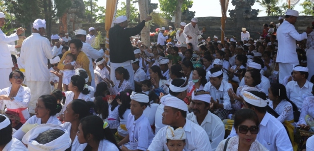 Ribuan Warga Ikuti Ritual Mebayuh Oton dan Sapuh Leger