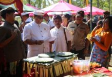 Wabup Sanjaya Buka Festival Kesenian dan Budaya Desa Megati