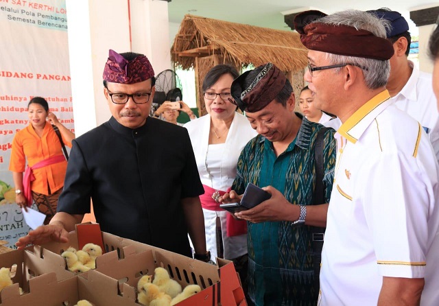 Sekda Dewa Indra Tekankan Pemerintah Daerah Untuk Tingkatkan Expor dan Tekan Impor