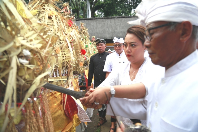 Bupati Eka Nuwek Bagia Pule Kerti Tandai Nyineb Karya Agung Pengurip Gumi di Pura Luhur Batukau