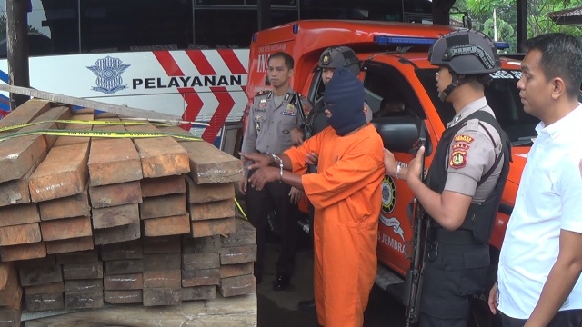 Satu Pelaku Ilegal Logging di Ekasari Diringkus Polisi