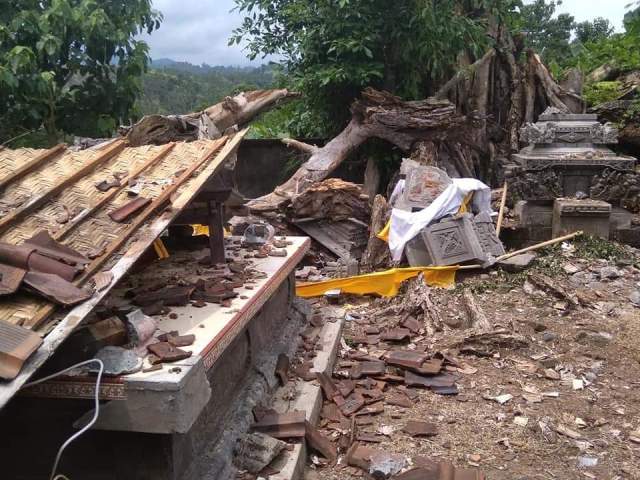 Beringin Timpa Pura Taman di Pekutatan