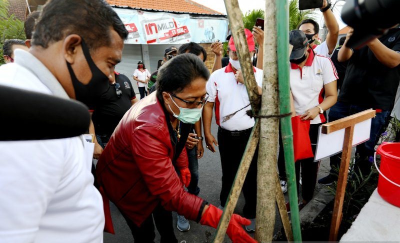 Hijaukan Lingkungan, Bupati Giri Tanam Tebubuya di Sepanjang Tukad Mati Tengah