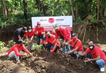 Edukasi Masyarakat Ditengah Covid-19, PDIP Tabanan Gelar Aksi Gerakan Tanam Sayur