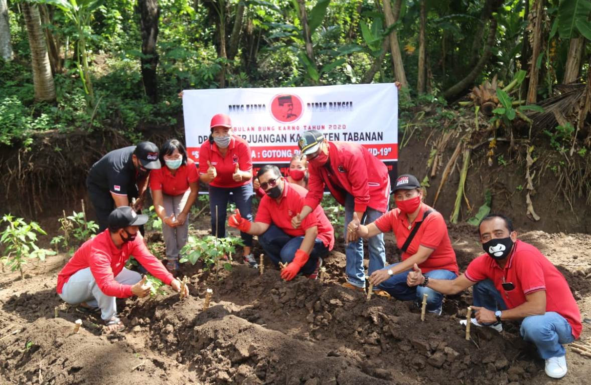 Edukasi Masyarakat Ditengah Covid-19, PDIP Tabanan Gelar Aksi Gerakan Tanam Sayur