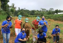 BKOW Provinsi Bali, Motivasi Petani Jahe Gajah Desa Tiga Bangli