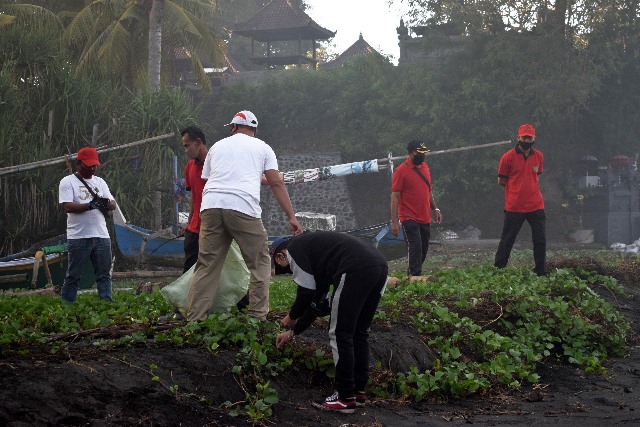 Sambut New Normal, Disparbud Bersama PHRI Jembrana Gelar Aksi Bersih Pantai