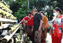 Bupati Gianyar Dorong Usaha Pertanian di Sisa Lahan Pekarangan Rumah