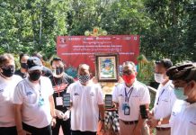 Gubernur Koster Resmikan Tatanan Kehidupan Bali Era Baru dan Digitalisasi Wisata Monkey Forest Ubud Berbasis QRIS