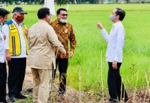 Dukung Lumbung Pangan, Kementan Dorong Pengembangan Pertanian Terpadu