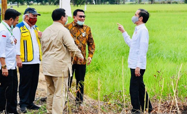 Dukung Lumbung Pangan, Kementan Dorong Pengembangan Pertanian Terpadu