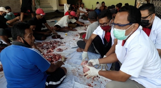 Dinas Pertanian Jembrana Cek Kelayakan Daging Kurban