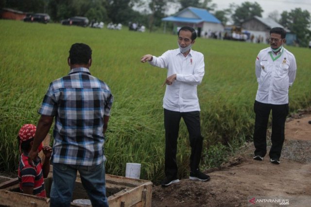 Strategi Food Estate Jokowi Hadapi Ancaman Krisis Pangan Global