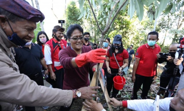 Bupati Giri Prasta Tanam 100 Pohon di Areal Pura Dang Kahyangan Pucak Tedung