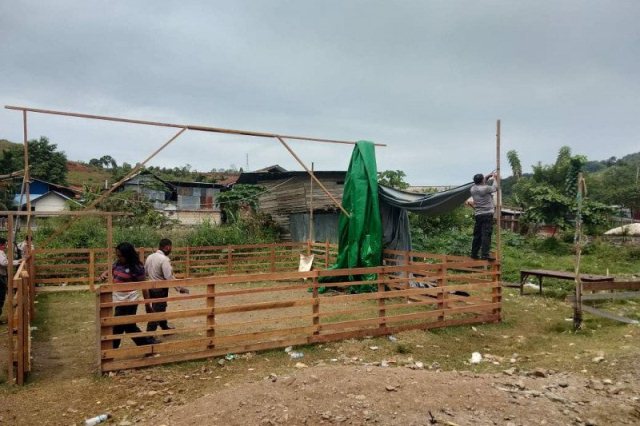 Polisi Bongkar Arena Sabung Ayam di Pasar Youtefa, Kerap Jadi Ajang Judi