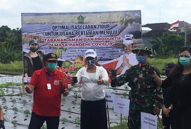 Optimalisasi Lahan Tidur untuk Usaha Pertanian, Bupati Eka Tanam Bibit Sayuran dan Palawija