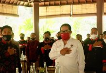 Wagub Bali Ajak ICA Turut Serta Bangun Pariwisata di Tatanan Kehidupan Era Baru
