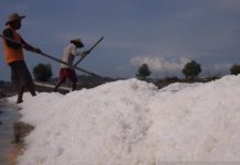 Produksi Garam Beryodium Klungkung Terus Berkembang
