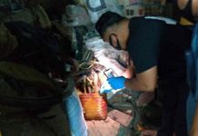 Polisi Tangkap Kakek di Indramayu yang Kubur Jasad Istri di Bawah Ranjang