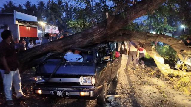 Tabrak Pohon Tumbang, Gusti Oka Tewas Mengenaskan