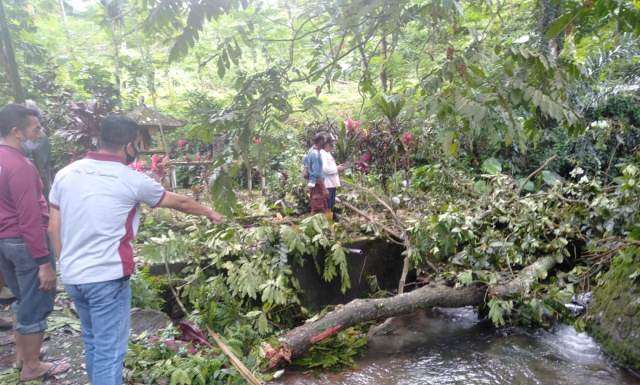 Mandi di Beji, Pelajar SMK Tewas Tertimpa Pohon