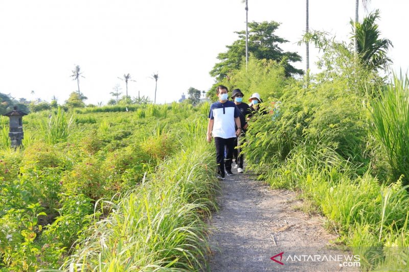 Pemkab Klungkung Matangkan Konsep Desa Wisata Tihingan