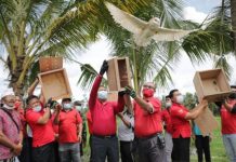 Kendalikan Hama Tikus, Bupati Gianyar Lepas Burung Hantu